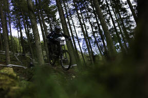 Photo of Keir COUPLAND at Ae Forest