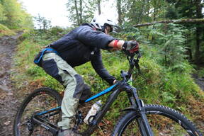 Photo of Stephen HASSON at Union Woods